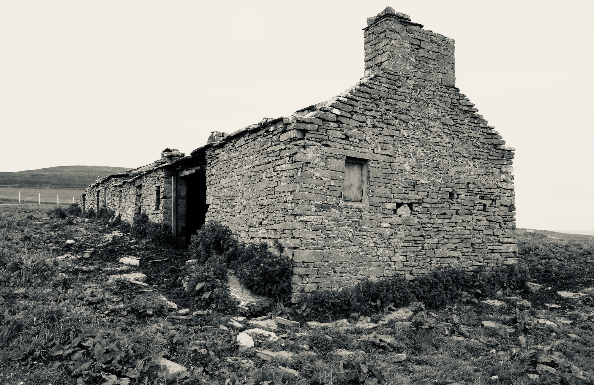 Abandoned croft on Westray, Orkney