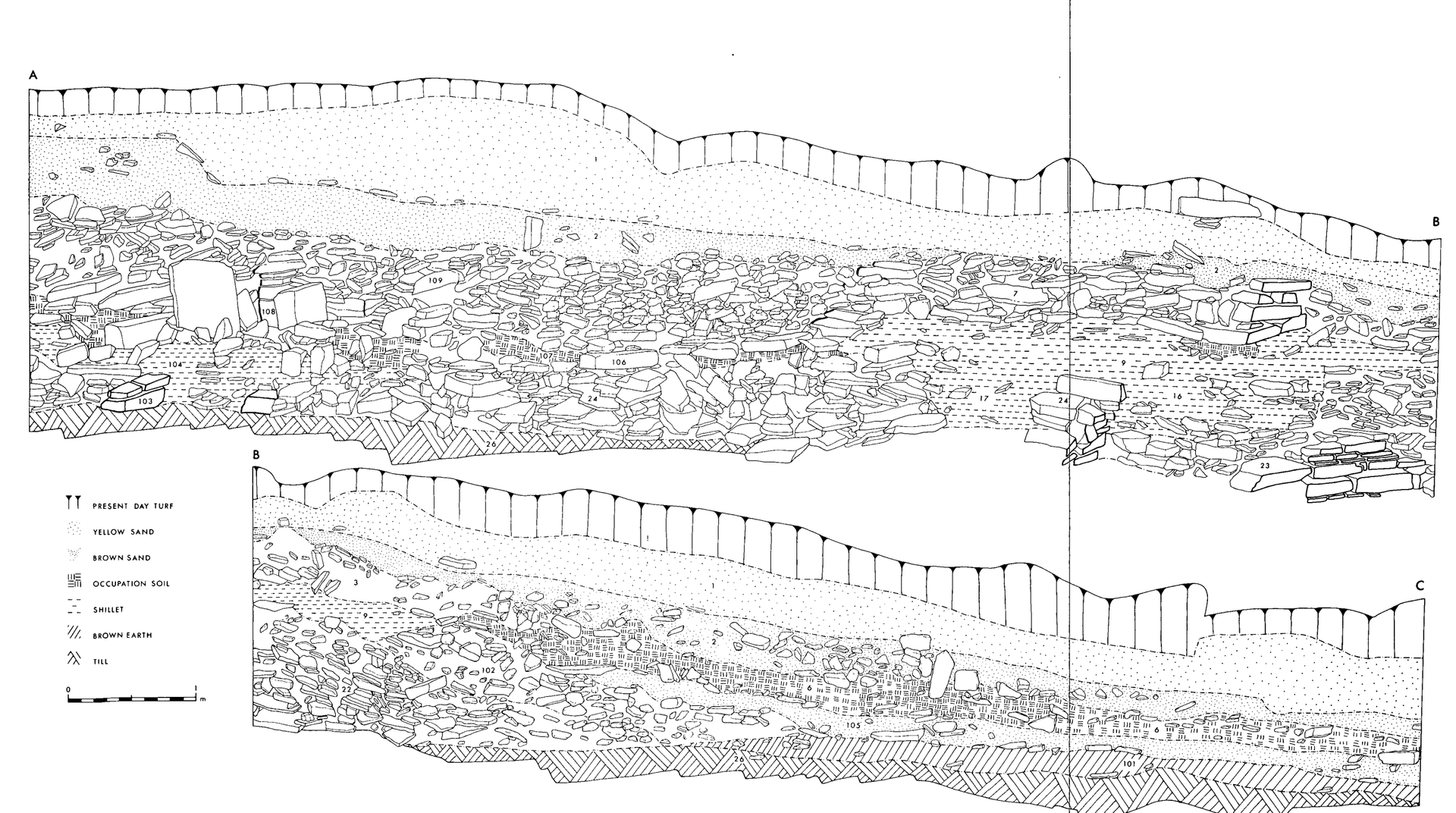 Section of Pierowall Quarry, Orkney, where the Westray Stone was found